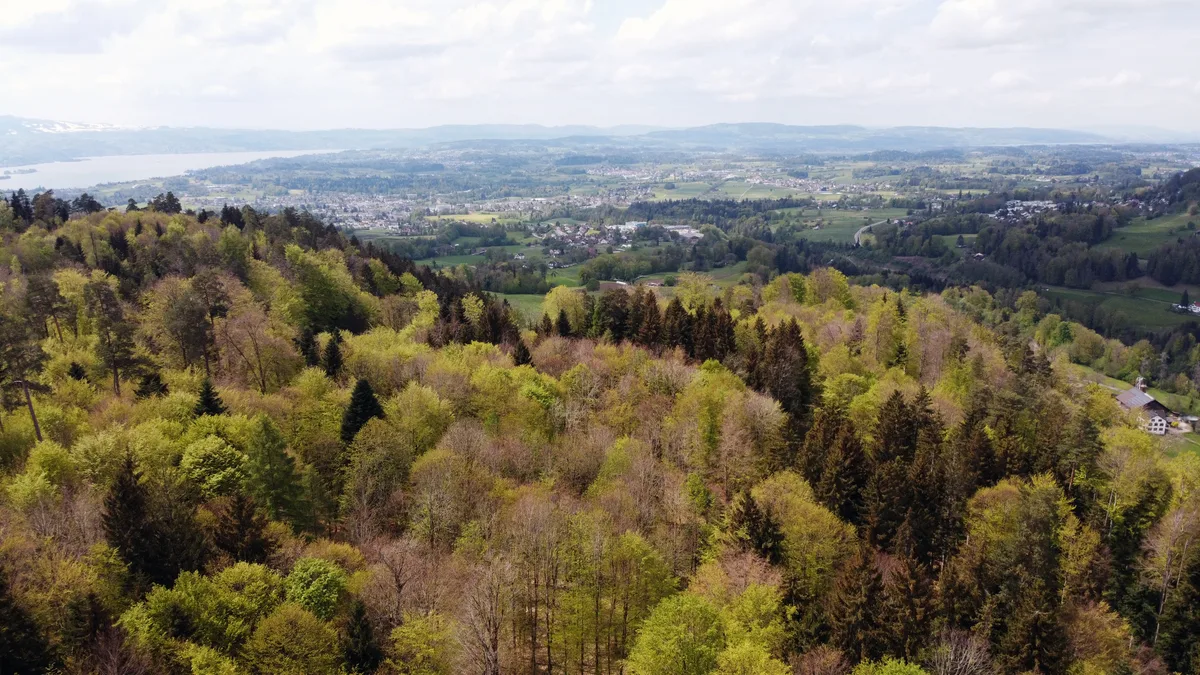 Auf dem Batzberg könnten drei Windräder gebaut werden. Wald
